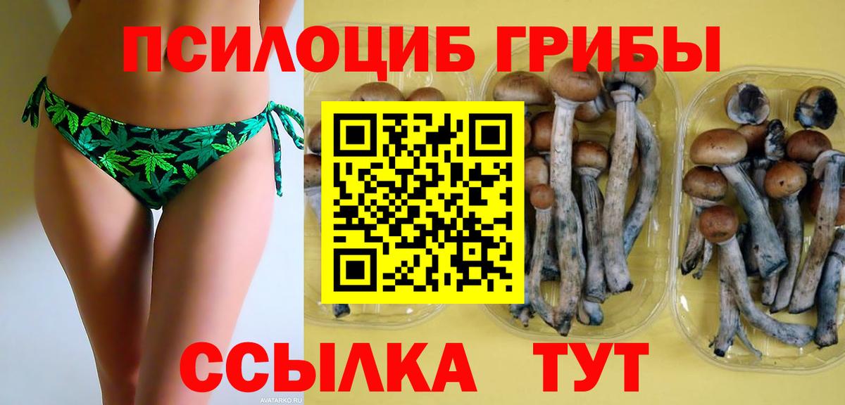 Псилоцибиновые грибы MAGIC MUSHROOMS  Галлюциногенные грибы MAGIC MUSHROOMS  Вход с VPN  Муравленко 